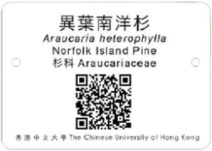 A sample tree plate with QR Code